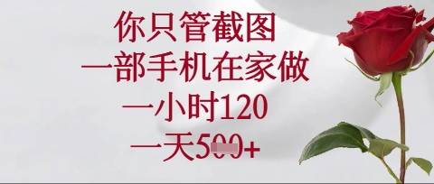 你只管截图，一部手机在家操作，一小时120.一天5张【揭秘】-云启源码