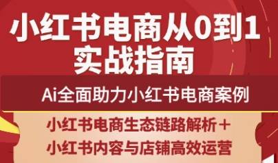 天诺老吴·2025小红书电商全链路运营-云启源码