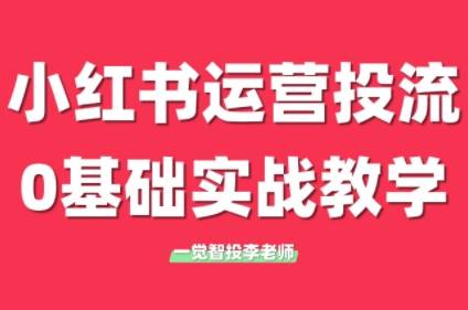 李老师·小红书运营投流，0基础实战教学(更新)-云启源码