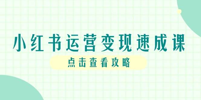 小红书运营变现速成课，账号搭建到暴力起号，个人IP全流程指南-云启源码