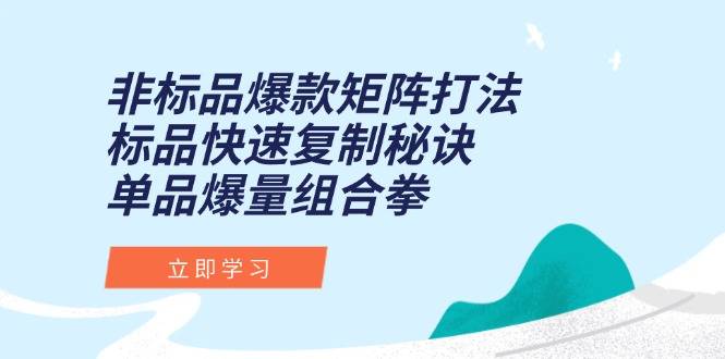 非标品爆款矩阵打法，标品快速复制秘诀，单品爆量组合拳-云启源码
