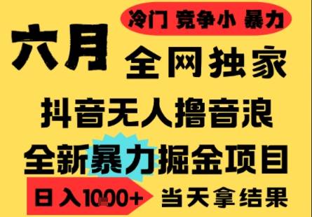 25年6月高爆抖音无人直播最新撸音浪掘金项目，小白可做，无脑日入1k+，门槛低可批量矩阵【揭秘】-云启源码