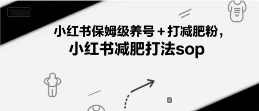 小红书保姆级养号+打减肥粉，小红书减肥打法sop-云启源码