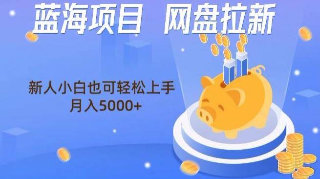 蓝海项目网盘拉新，新人小白也可操作，每月收入5000+-云启源码
