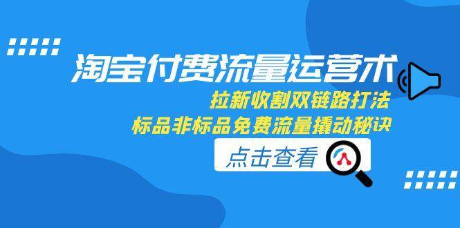 淘宝付费流量运营术，拉新收割双链路打法，标品非标品免费流量撬动秘诀-云启源码
