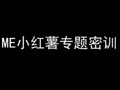 ME小红薯专题密训-小红书电商教程-云启源码