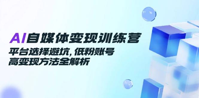 AI自媒体变现训练营，平台选择避坑，低粉账号高变现方法全解析-云启源码