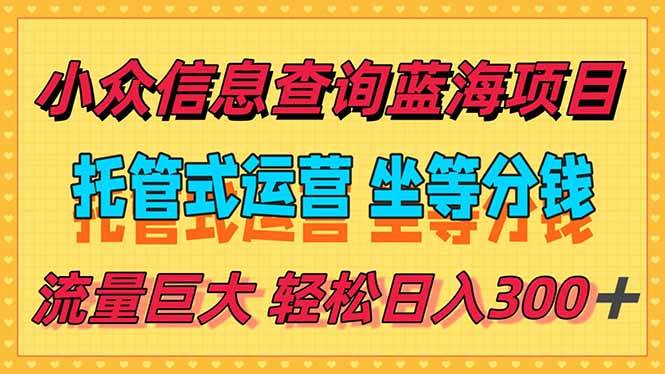 稳定日入300＋，小众信息查询蓝海项目，全程懒人式托管，解放你的时间-云启源码