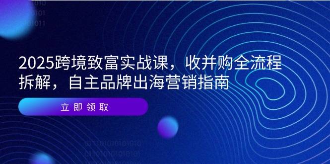 2025跨境致富实战课，收并购全流程拆解，自主品牌出海营销指南-云启源码
