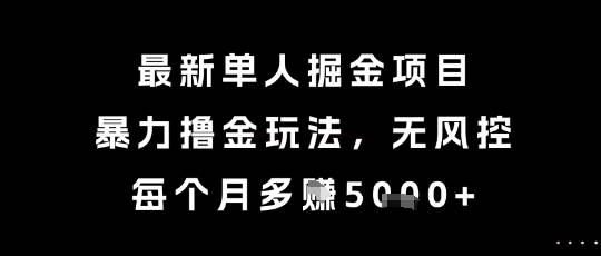 最新单人掘金项目，暴力撸金玩法，无风控，每个月多挣5k+【揭秘】-云启源码