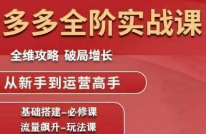 拼多多全阶实战课程，全维攻略，破局增长，从新手到运营高手-云启源码
