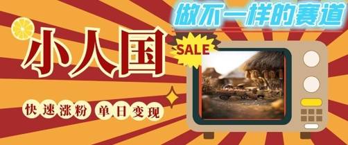 DeepSeek+绘图+视频制作小人国微观视频，小白轻轻松松上手，条条爆款，条条变现，单日就能收益-云启源码
