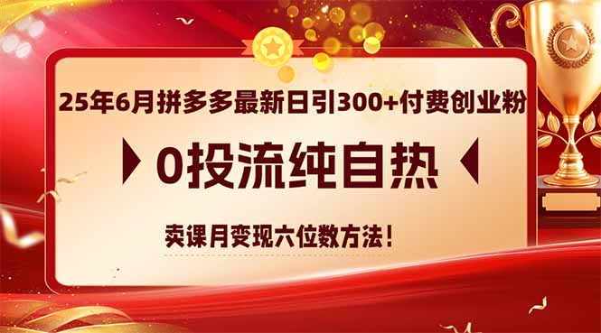 25年6月拼多多最新日引300+付费创业粉，0投流纯自热 卖课月变现六位数方法-云启源码
