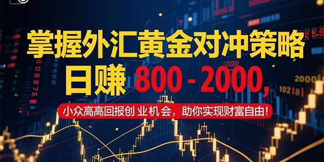 掌握外汇黄金对冲策略，日赚 800 - 2000，小众高回报创业机会，助你实...-云启源码