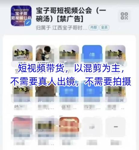 宝子哥头部团队短视频带货，以混剪为主，不需要真人出镜，不需要拍摄【更新】-云启源码
