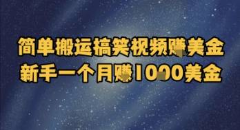 简单搬运搞笑视频挣美金，新手一个月入1k美金-云启源码