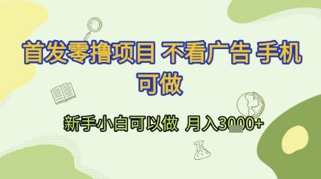首发零撸项目 不看广告 手机可做 新手小白可以做  月入3k+【揭秘】-云启源码