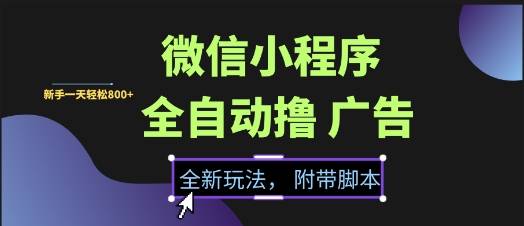 微信小程序全自动撸广告项目，彻底解决没流量的问题，新手一天8张+【揭秘】-云启源码