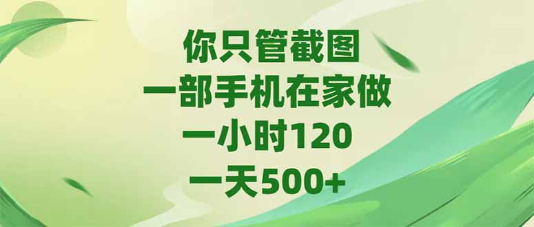 你只管截图，一部手机在家做，一小时120，-天500+-云启源码