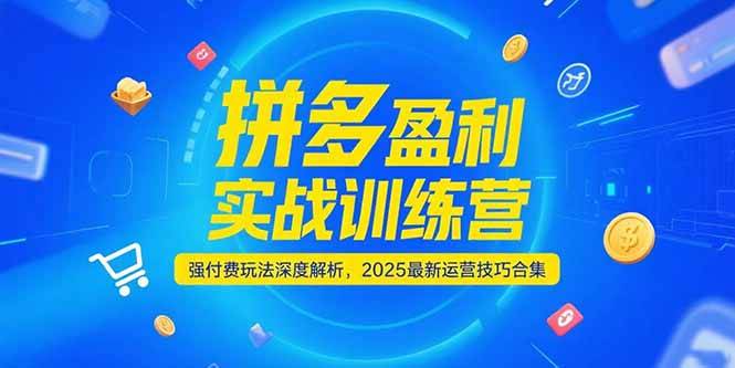 拼多多盈利实战训练营，强付费玩法深度解析，2025运营技巧合集-更新6月-云启源码