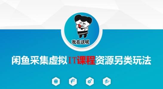 闲鱼采集虚拟IT课程资源另类玩法，干货满满-云启源码