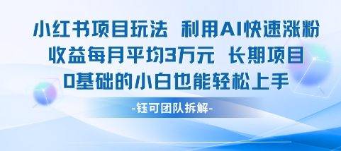 适合小白操作的小红书新项目，利用AI快速涨粉，收益每月平均1W+-云启源码