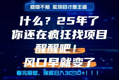 什么？25年你还在疯狂找项目做，醒醒吧，看完这些你全都懂了！【揭秘】-云启源码