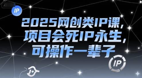 2025网创类IP课，项目会死IP永生，可操作一辈子-云启源码