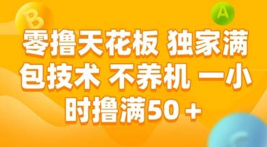 零撸天花板，独家满包技术 不养机 一小时撸满50+【揭秘】-云启源码
