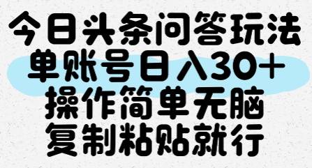 今日头条问答玩法，单账号日入30+，操作简单无脑复制粘贴就行-云启源码