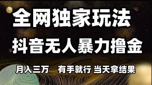 全网独家玩法抖音无人暴力撸金，月入3W，有手就行，当天拿结果【揭秘】-云启源码