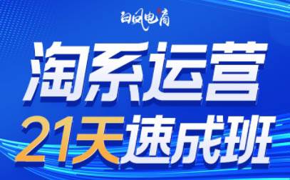 白凤电商·淘系运营21天速成班(更新6月)-云启源码