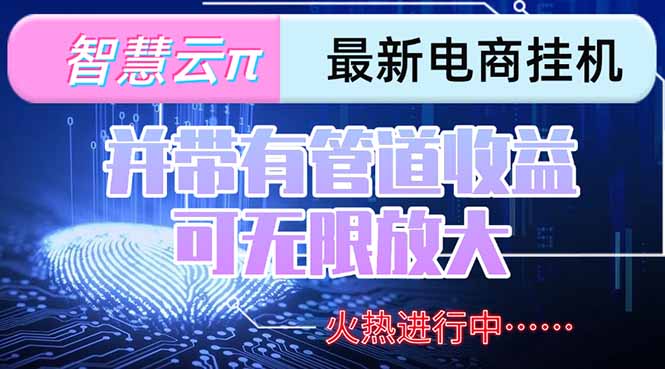 智慧云π电脑挂机单机每天收益300—500+ 并带有团队管道收益 可无限放大-云启源码