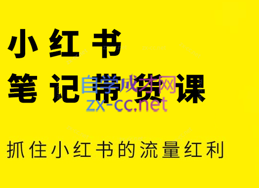张宾·小红书笔记带货课(更新6月)-云启源码