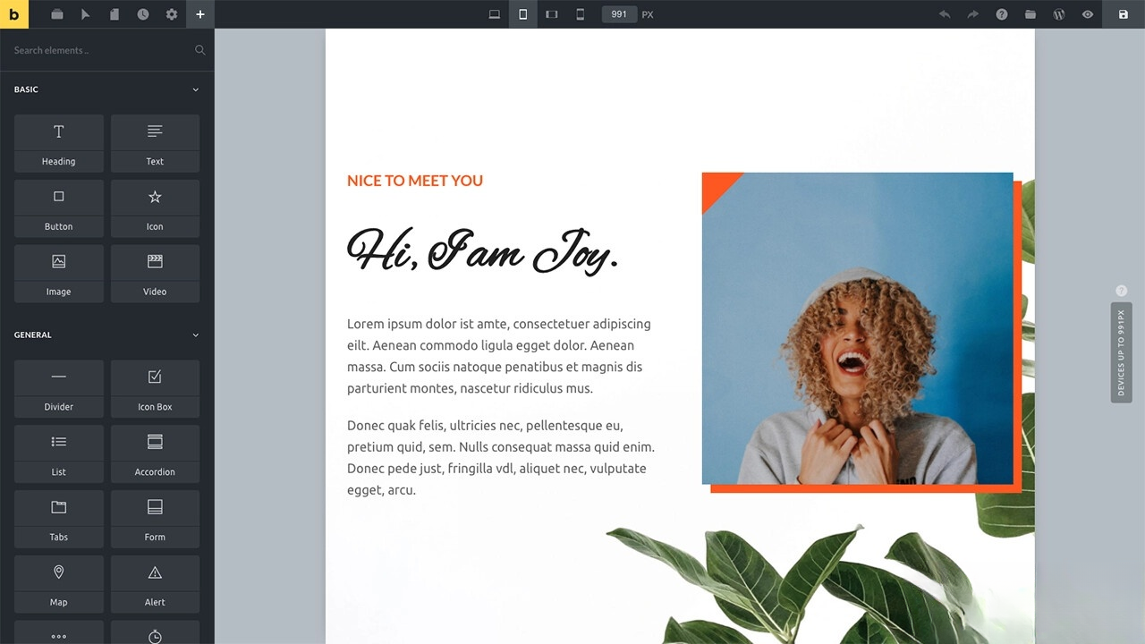 WordPress主题Bricks v1.9 破解版-云启源码