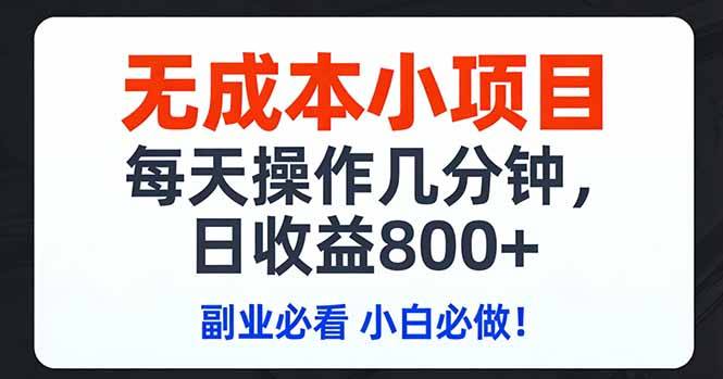 无成本小项目,每天操作几分钟,日收益800+ 副业必看 小白必做！-云启源码