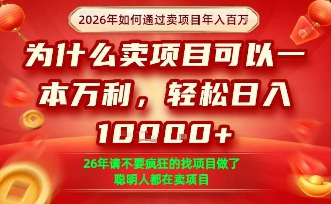 一单净利润1K+，26年想年入100个W，死磕卖项目就够了【揭秘】-云启源码