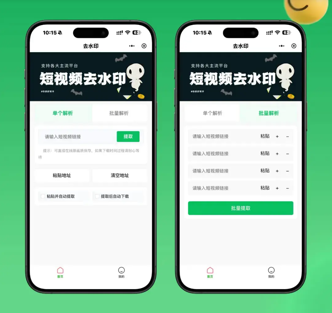 2026最新去水印小程序源码 v1.6.5 带流量主-云启源码