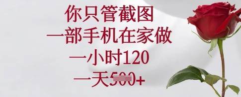 你只管截图，一部手机在家做，一小时120.一天5张【揭秘】-云启源码