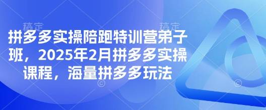 拼多多实操陪跑特训营弟子班，2025年2月拼多多实操课程，海量拼多多玩法-云启源码